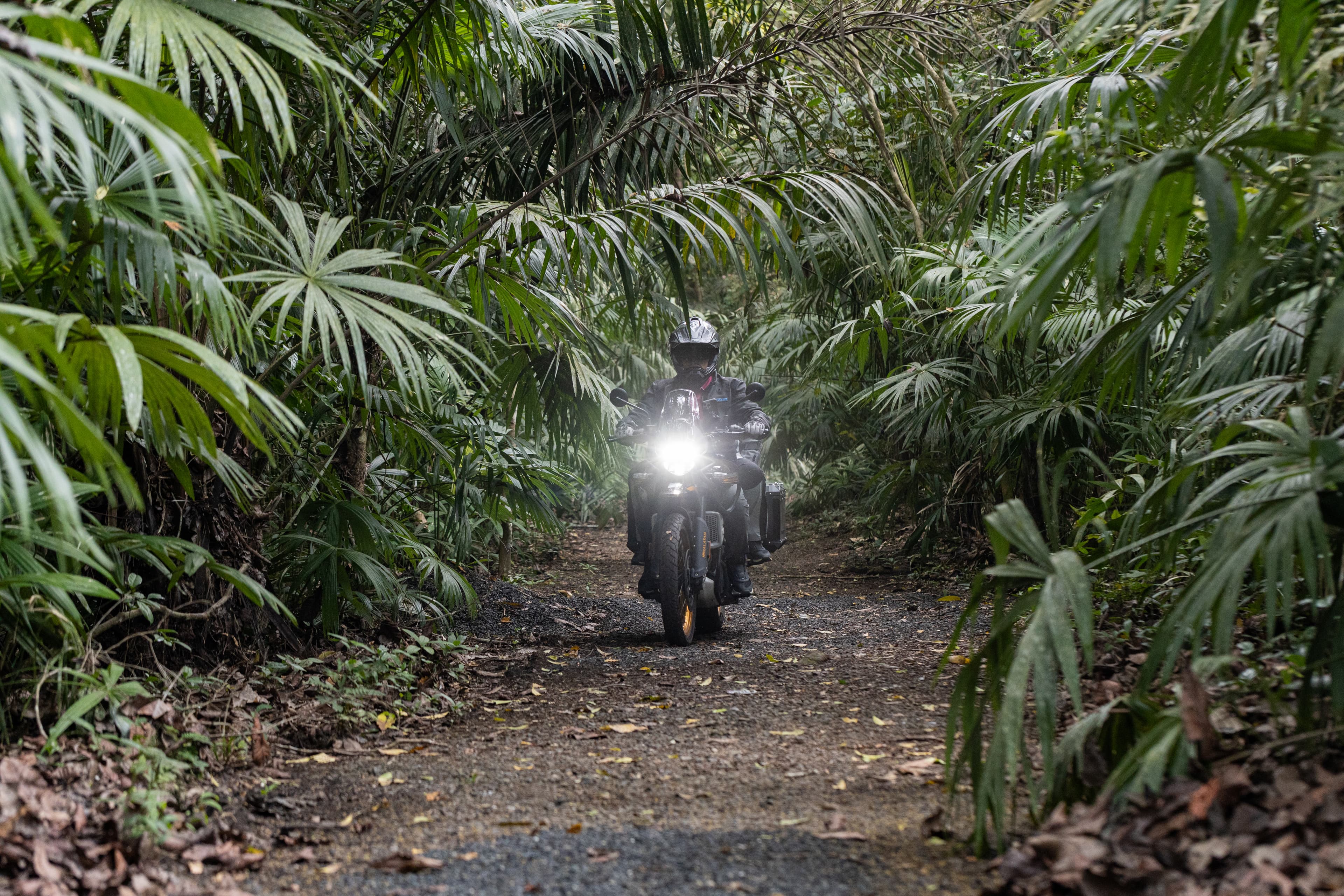 Panama Waterfall Adventure